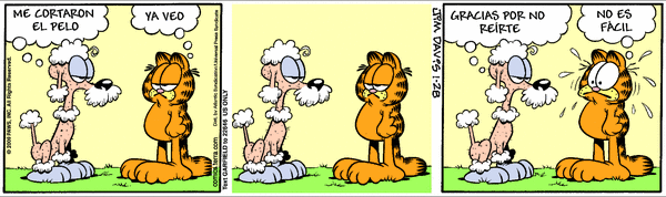 Garfield comic strip