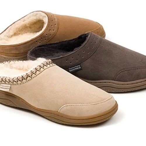 zapatilla