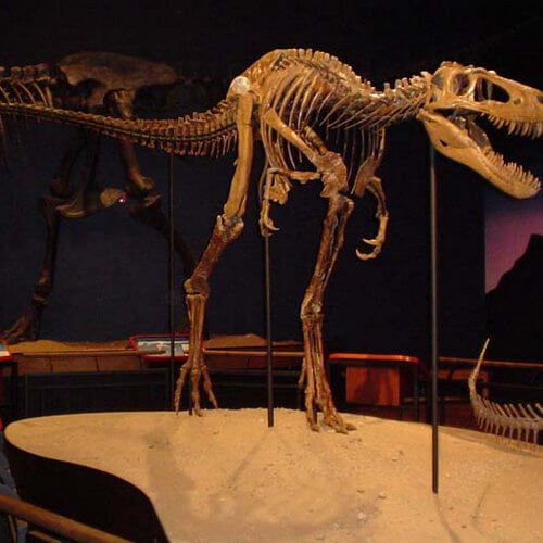 dinosaurio