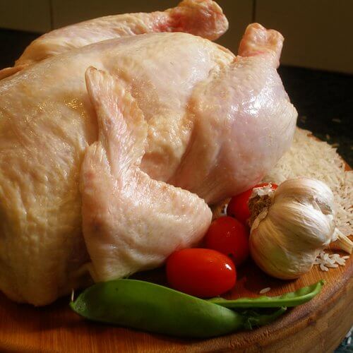 pollo