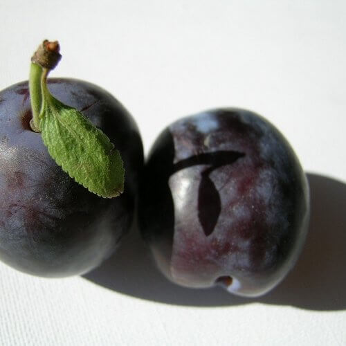 ciruela