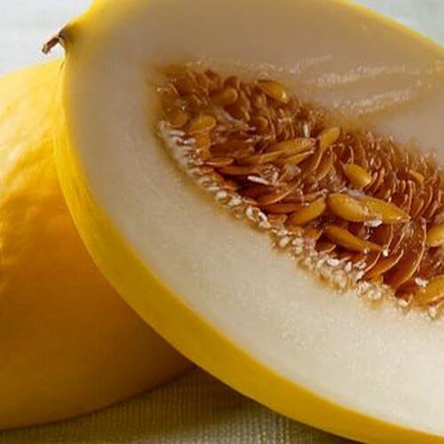 melón