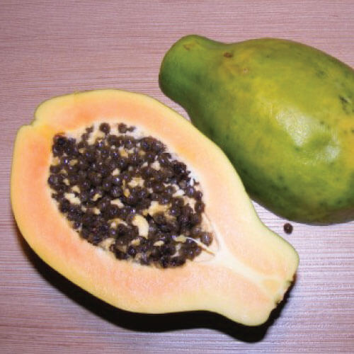 papaya