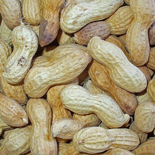 cacahuete