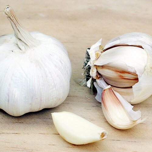 ajo