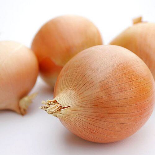 cebolla