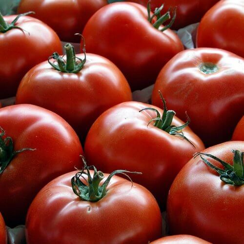 tomate
