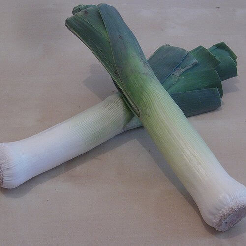 puerro
