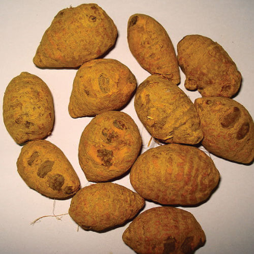 cúrcuma