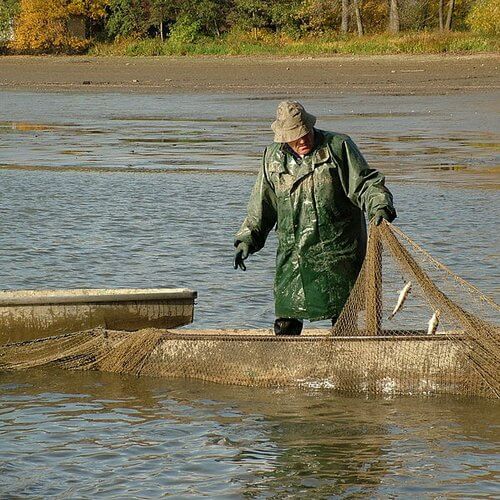 pescador