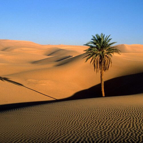 desierto