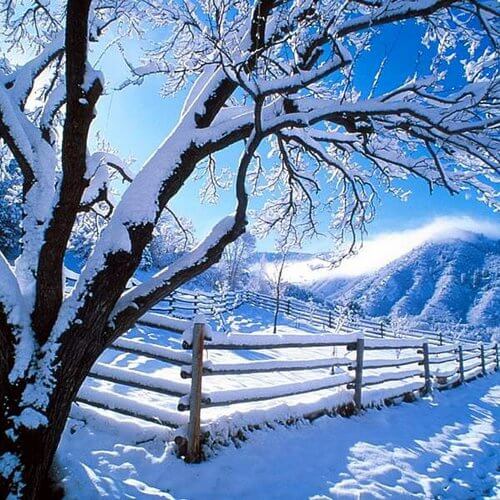 invierno