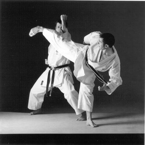 artes marciales