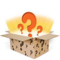 Section Question words